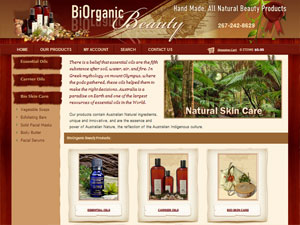 css web design 